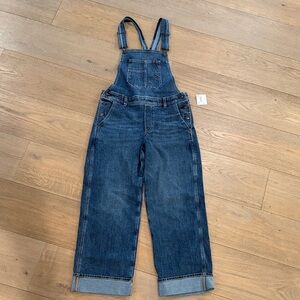 Womens American Eagle Blue Denim Overalls